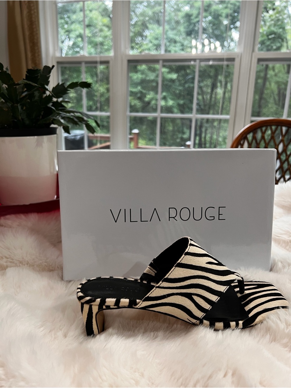 DANICA Villa Rouge Zebra Print Mule Heels - Black & Cream